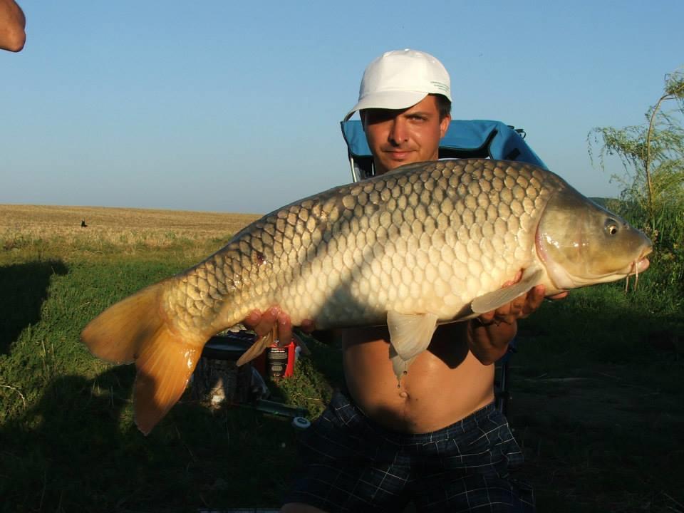 Lates 5-8 august 2013 ...cu prietenii - 11489216197750480897001271789660n.jpg